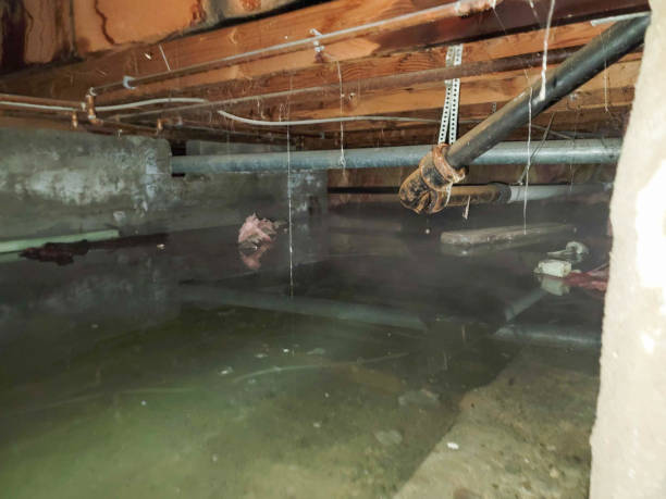 Best Water damage restoration near me  in Oakes, ND