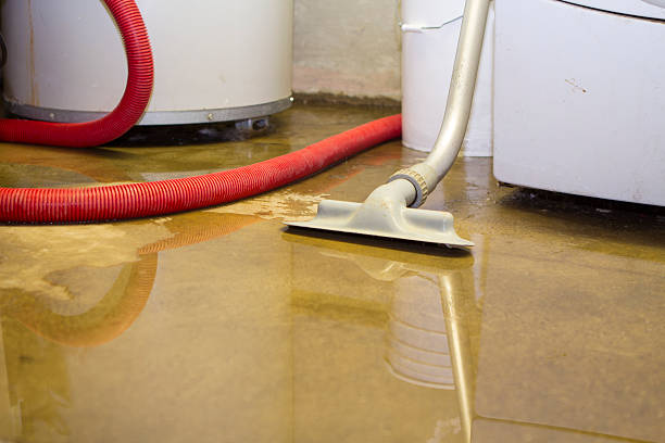 Best Water damage restoration company  in Oakes, ND