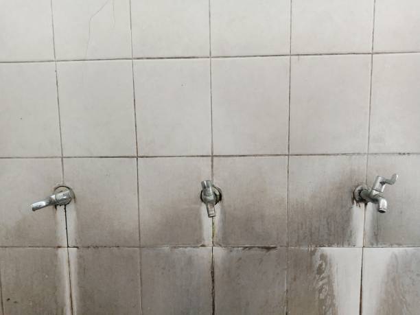 Best Water damage cleanup near me  in Oakes, ND