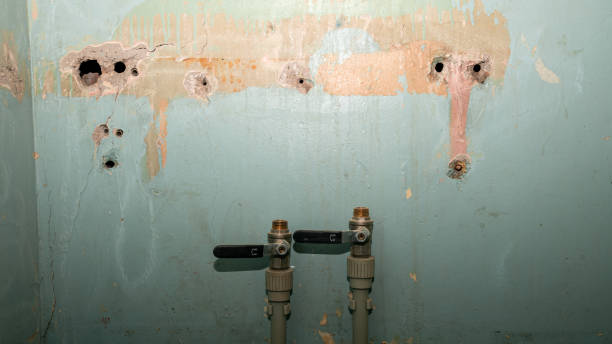 Best Water damage restoration near me  in Oakes, ND