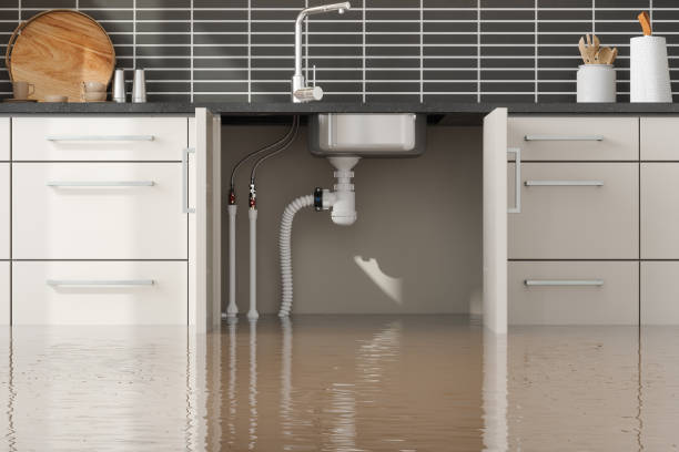Best Flood restoration services  in Oakes, ND