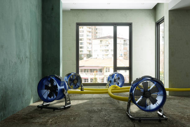 Best Ceiling water damage repair  in Oakes, ND